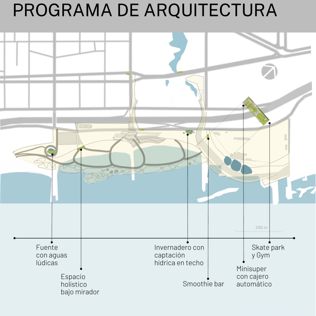 E13 - Programa de arquitectura - TFM-CARETTA BEACH  - MONTE URBANO