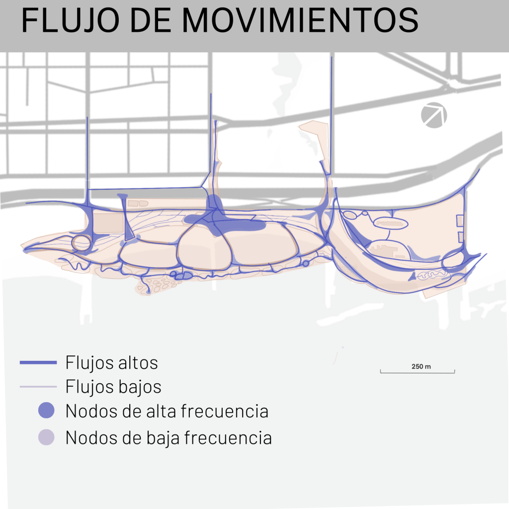 E2 - Flujos de movimiento - TFM-CARETTA BEACH  - MONTE URBANO