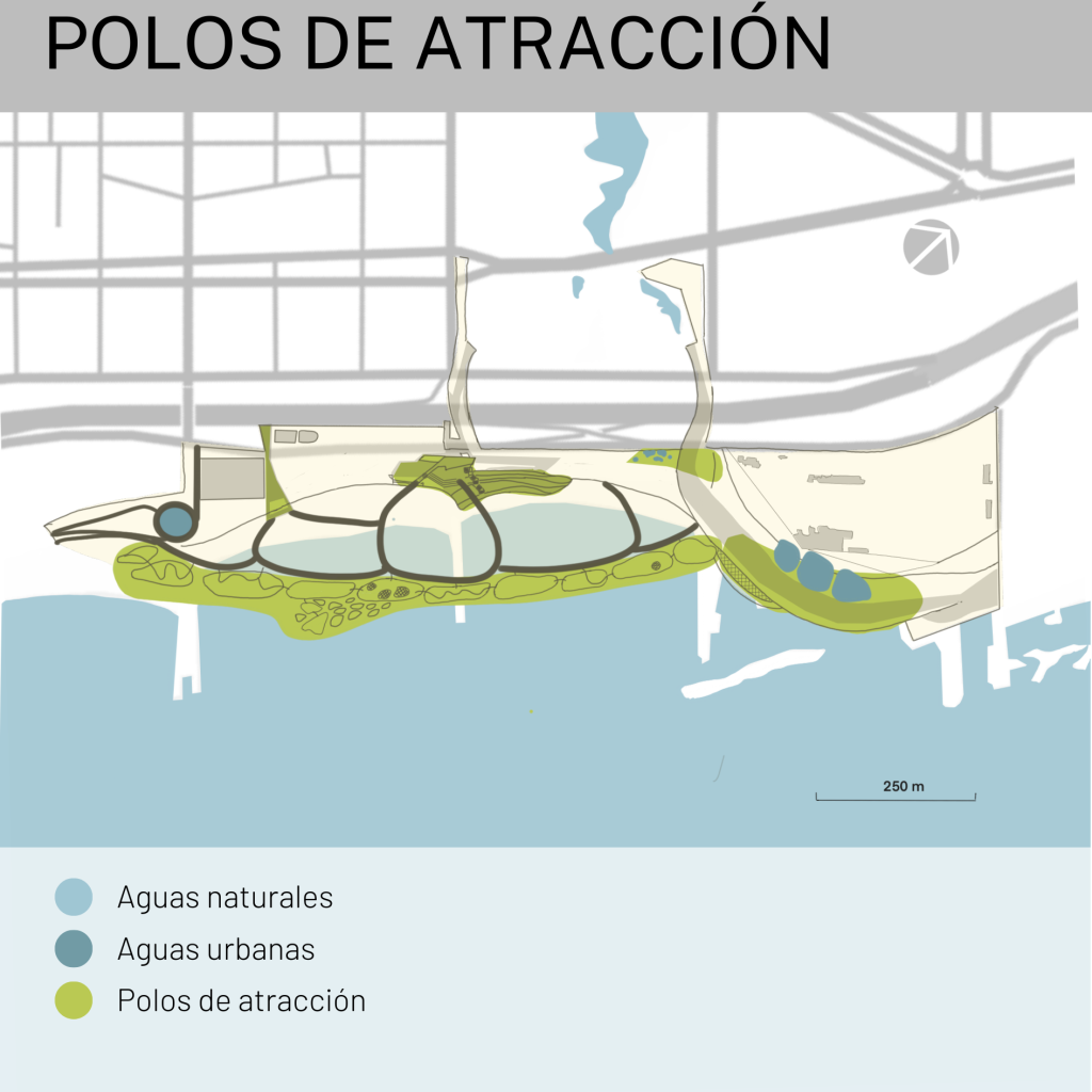 E4 - Polos de atracción - TFM-CARETTA BEACH  - MONTE URBANO